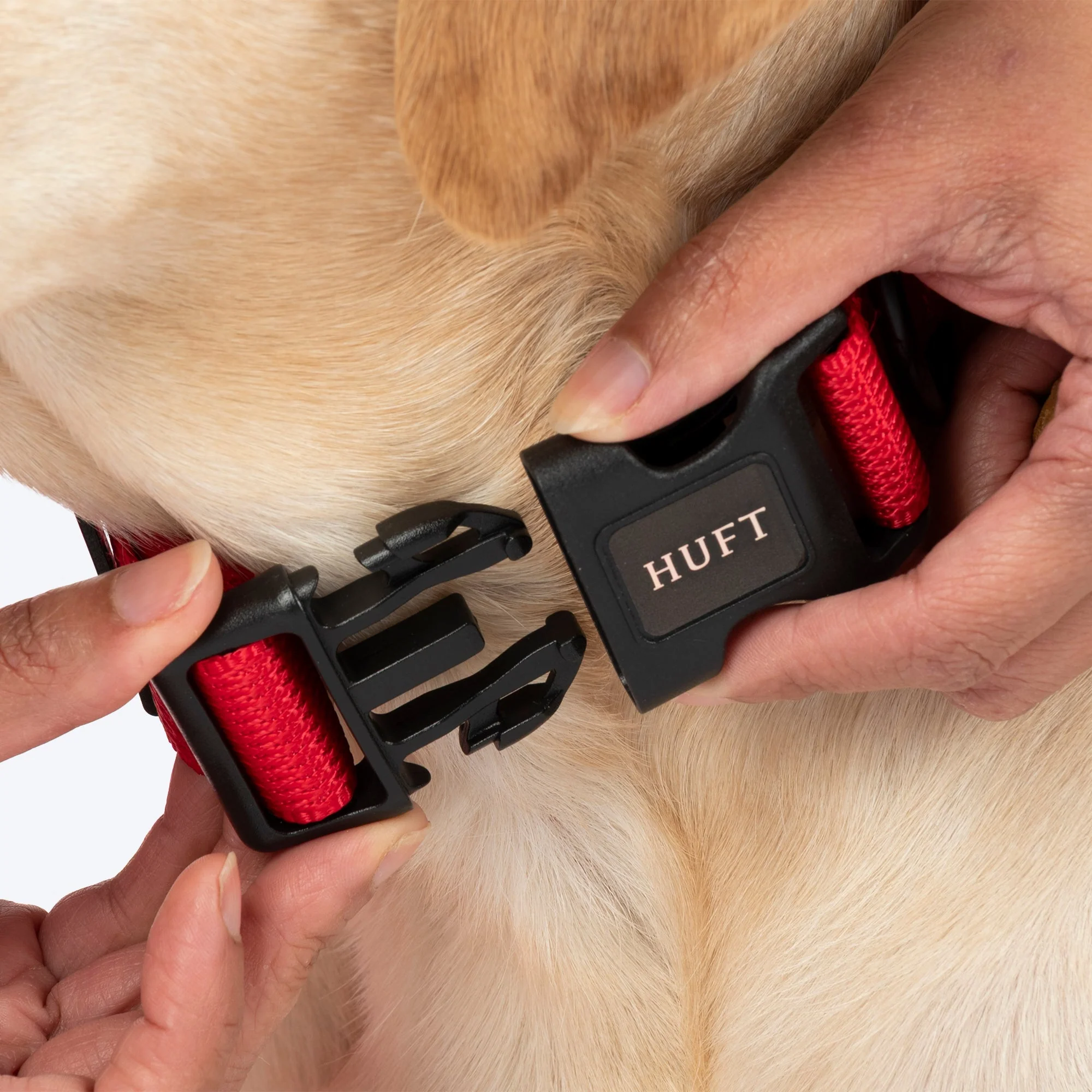 HUFT Classic D Ring Collar for Dogs (Cherry Red) - Image 7