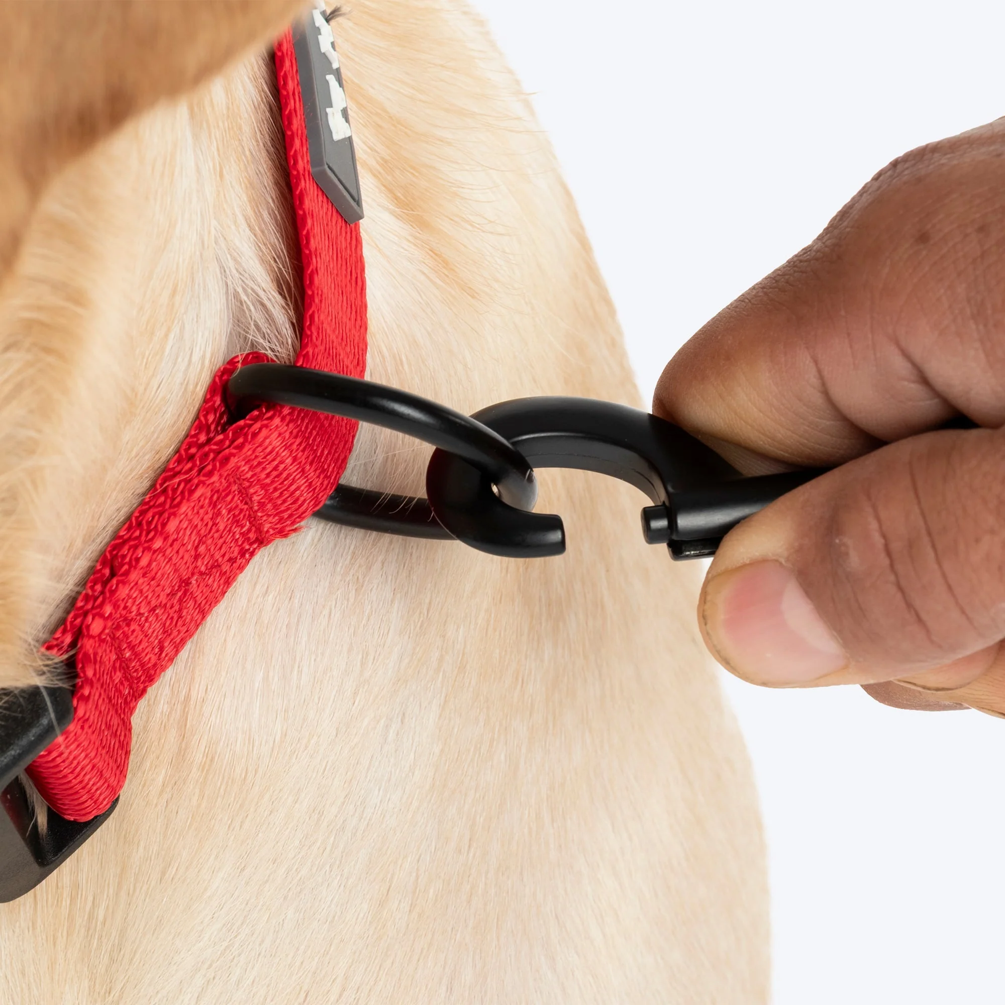 HUFT Classic D Ring Collar for Dogs (Cherry Red) - Image 8