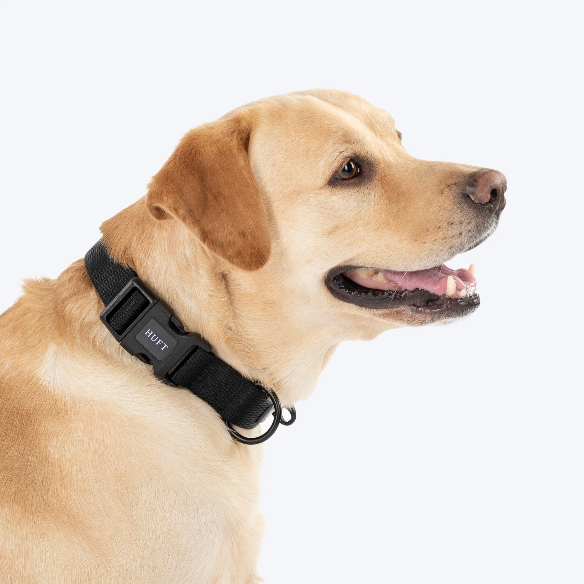 HUFT Classic D Ring Collar for Dogs (Coal Black) - Image 4
