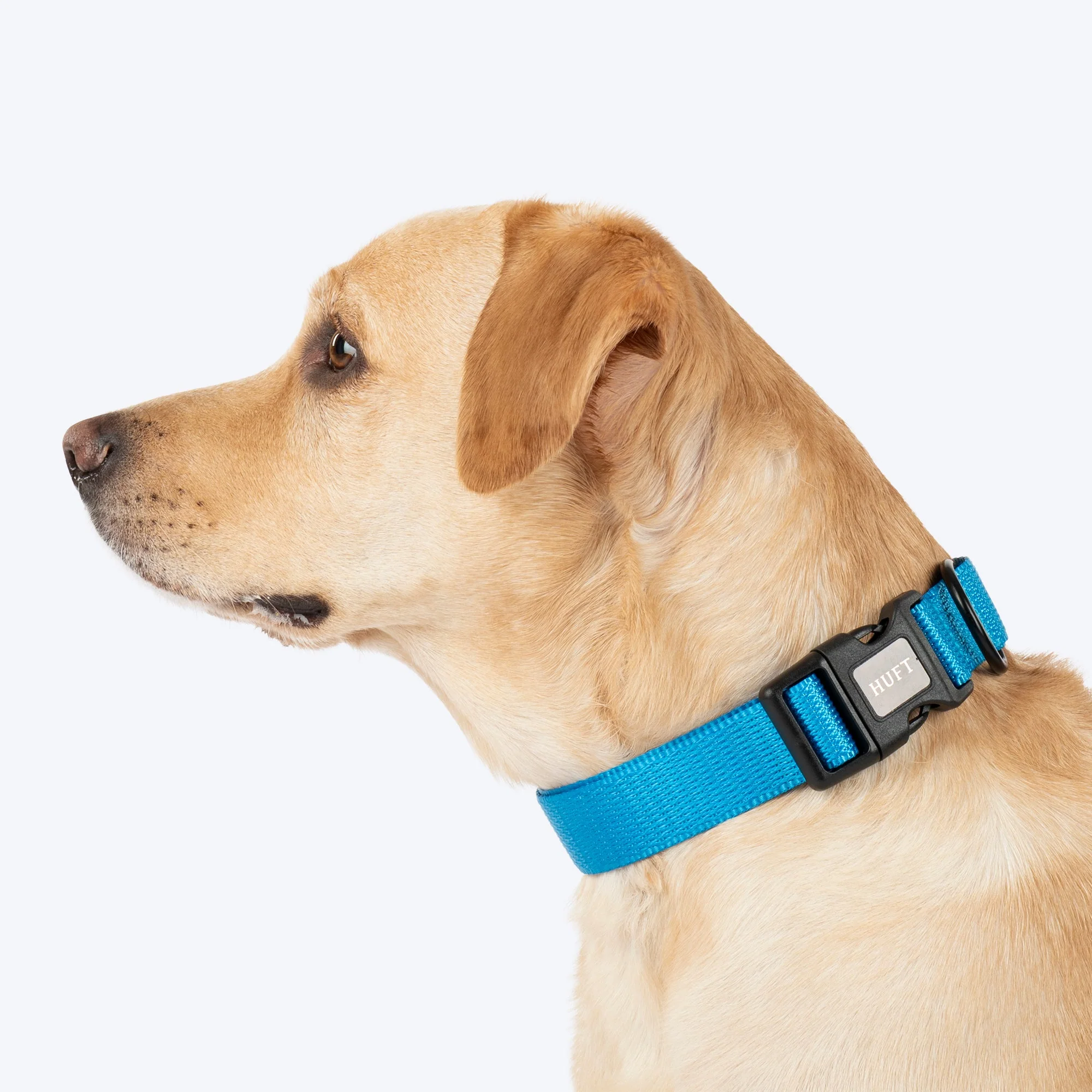 HUFT Classic D Ring Collar for Dogs (Ocean Blue) - Image 3