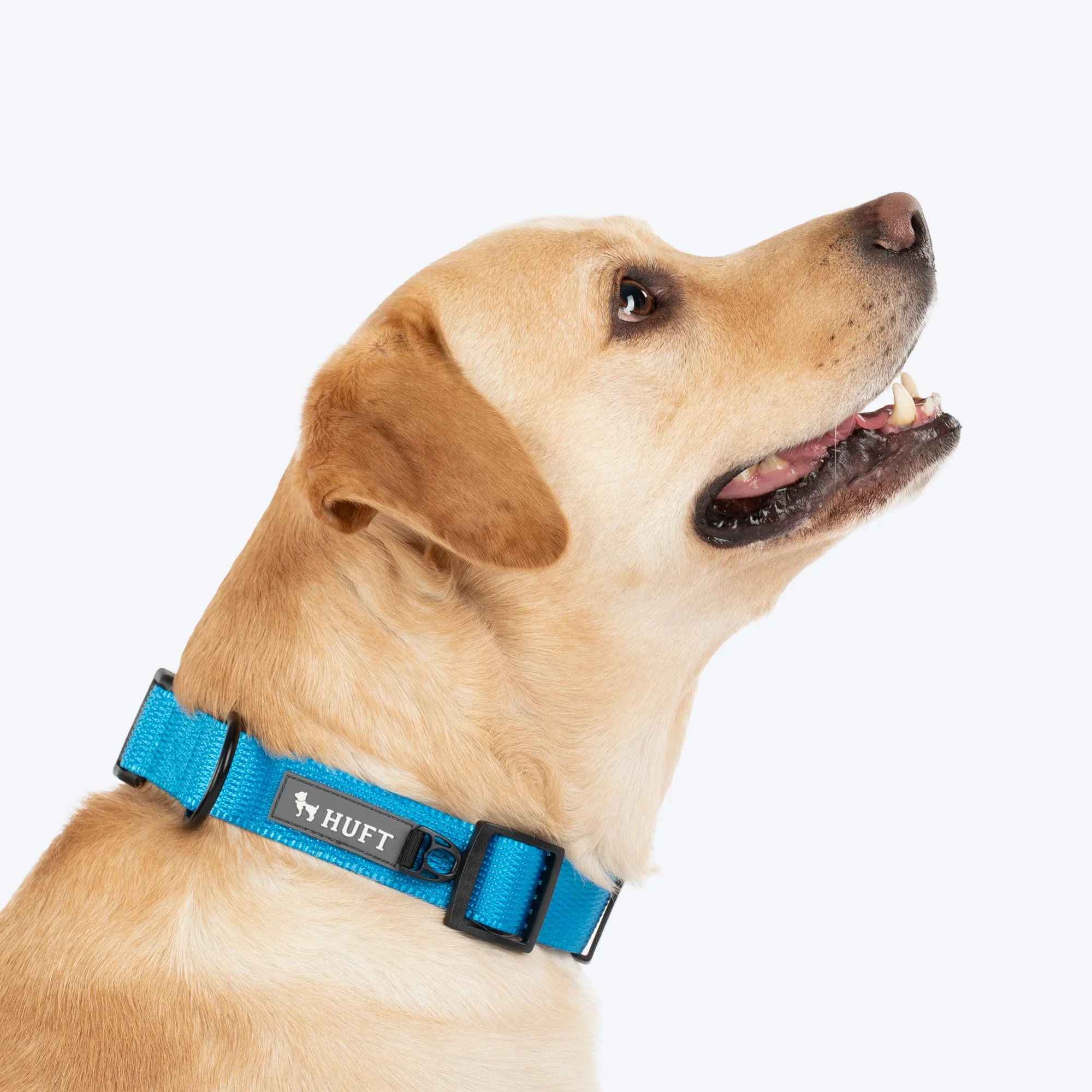 HUFT Classic D Ring Collar for Dogs (Ocean Blue) - Image 4