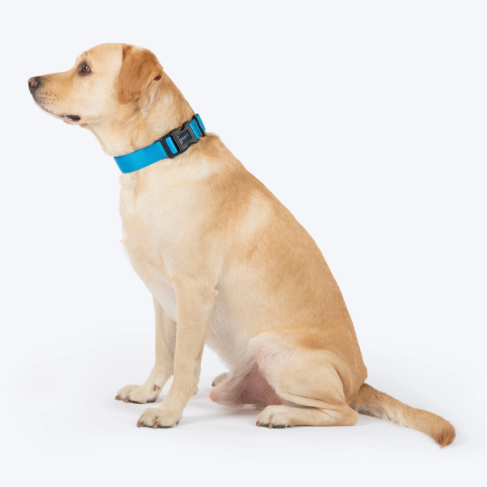 HUFT Classic D Ring Collar for Dogs (Ocean Blue) - Image 6