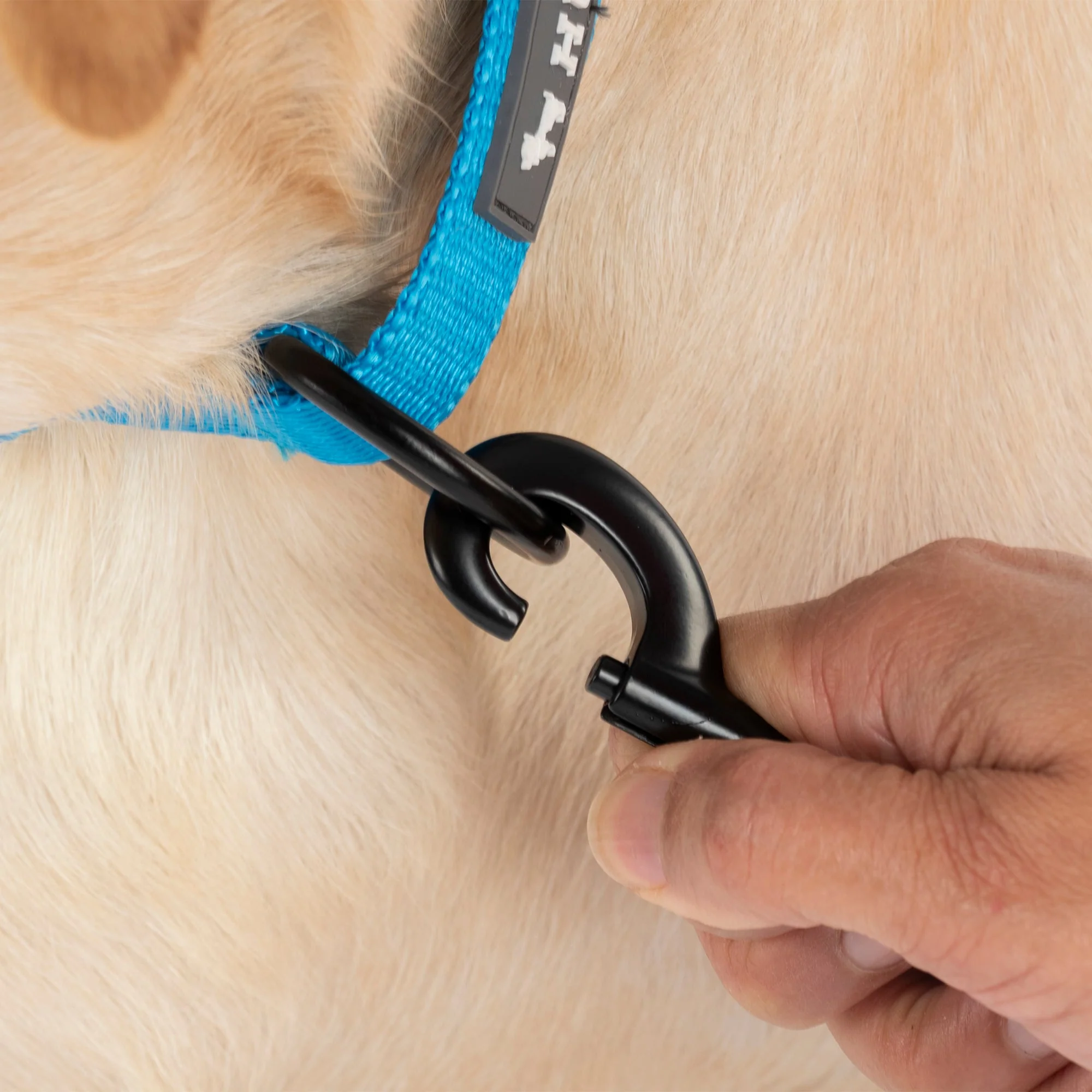 HUFT Classic D Ring Collar for Dogs (Ocean Blue) - Image 8