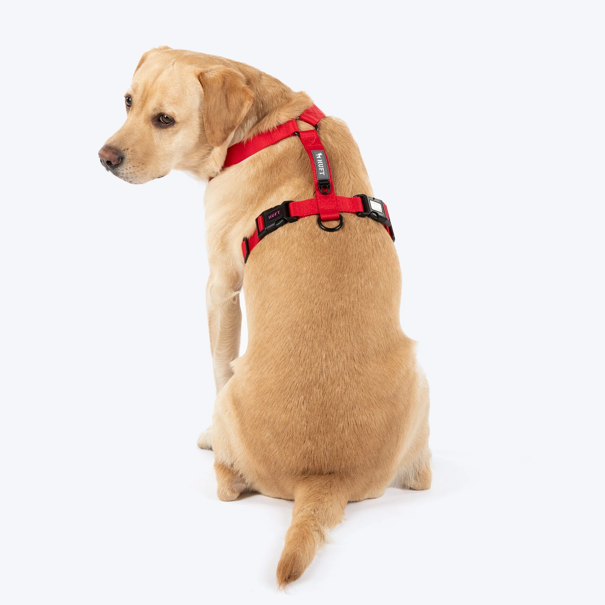 HUFT Classic H Harness for Dogs (Cherry Red) - Image 2