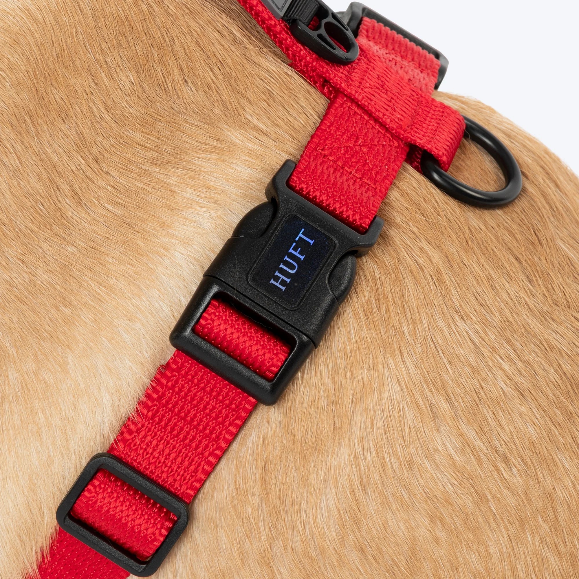 HUFT Classic H Harness for Dogs (Cherry Red) - Image 4