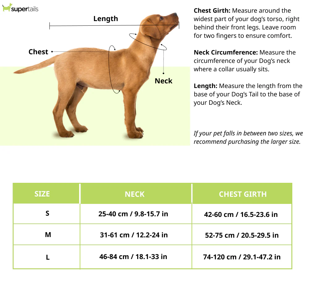 HUFT Classic H Harness for Dogs (Cherry Red) - Image 7
