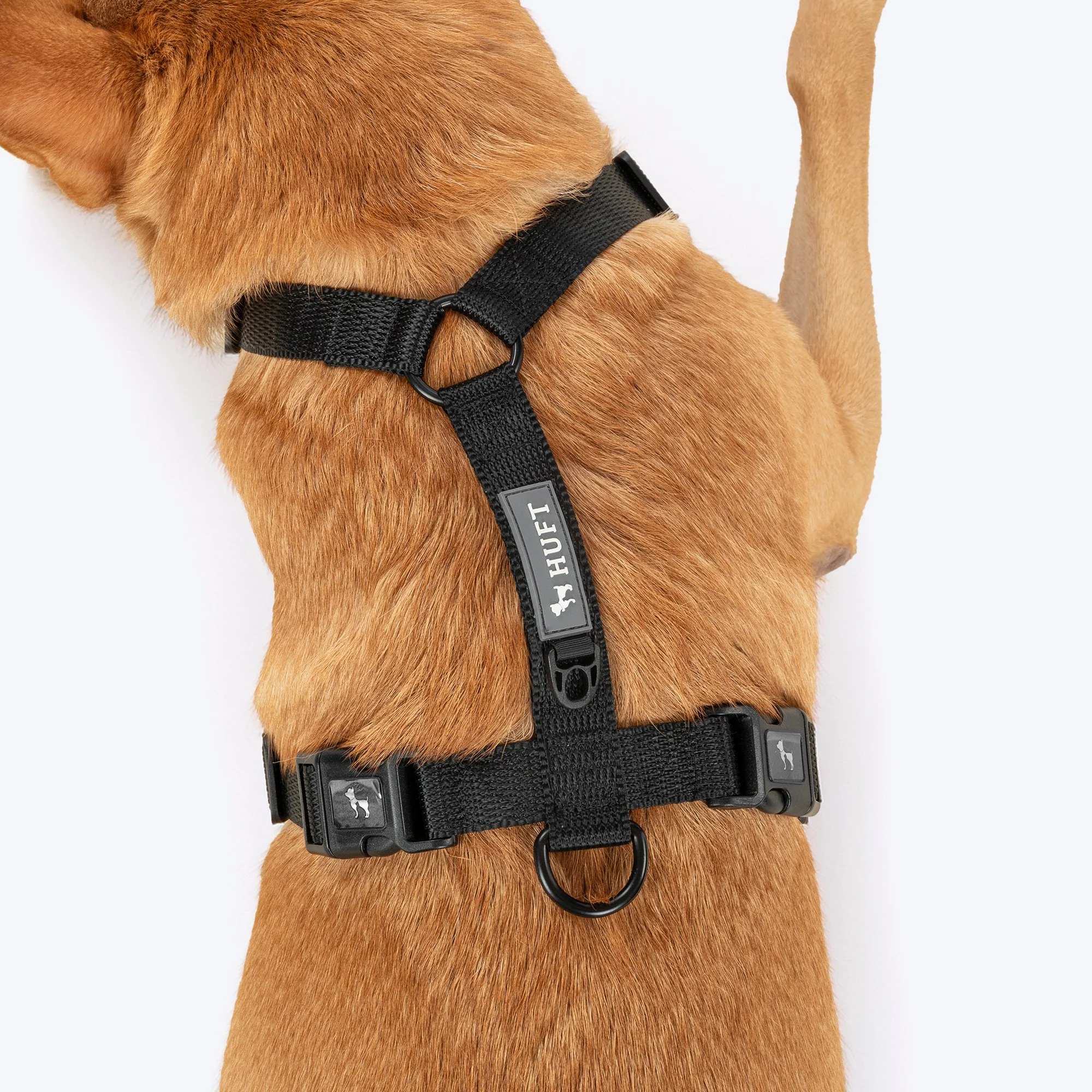 HUFT Classic H Harness for Dogs (Coral Black) - Image 4