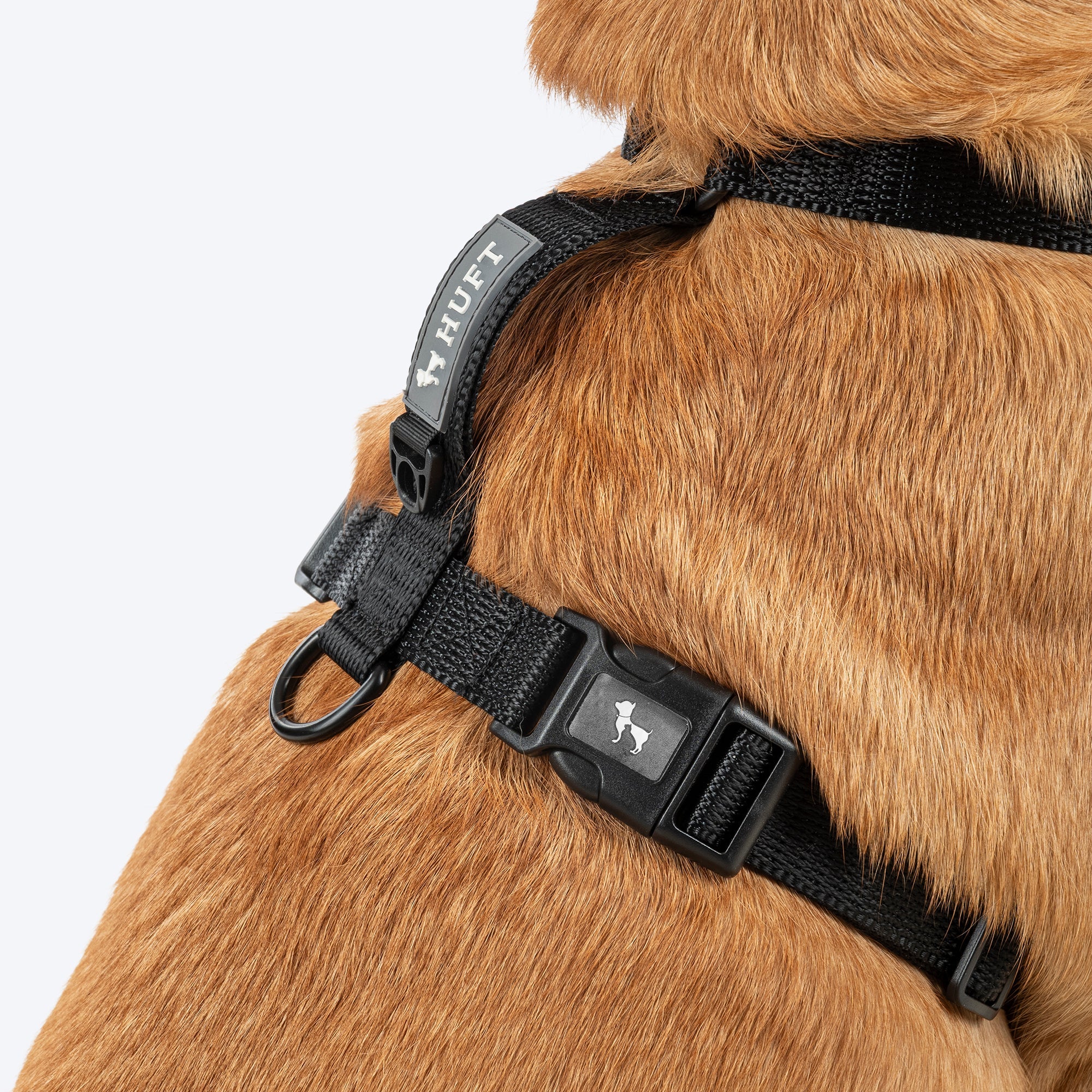 HUFT Classic H Harness for Dogs (Coral Black) - Image 5