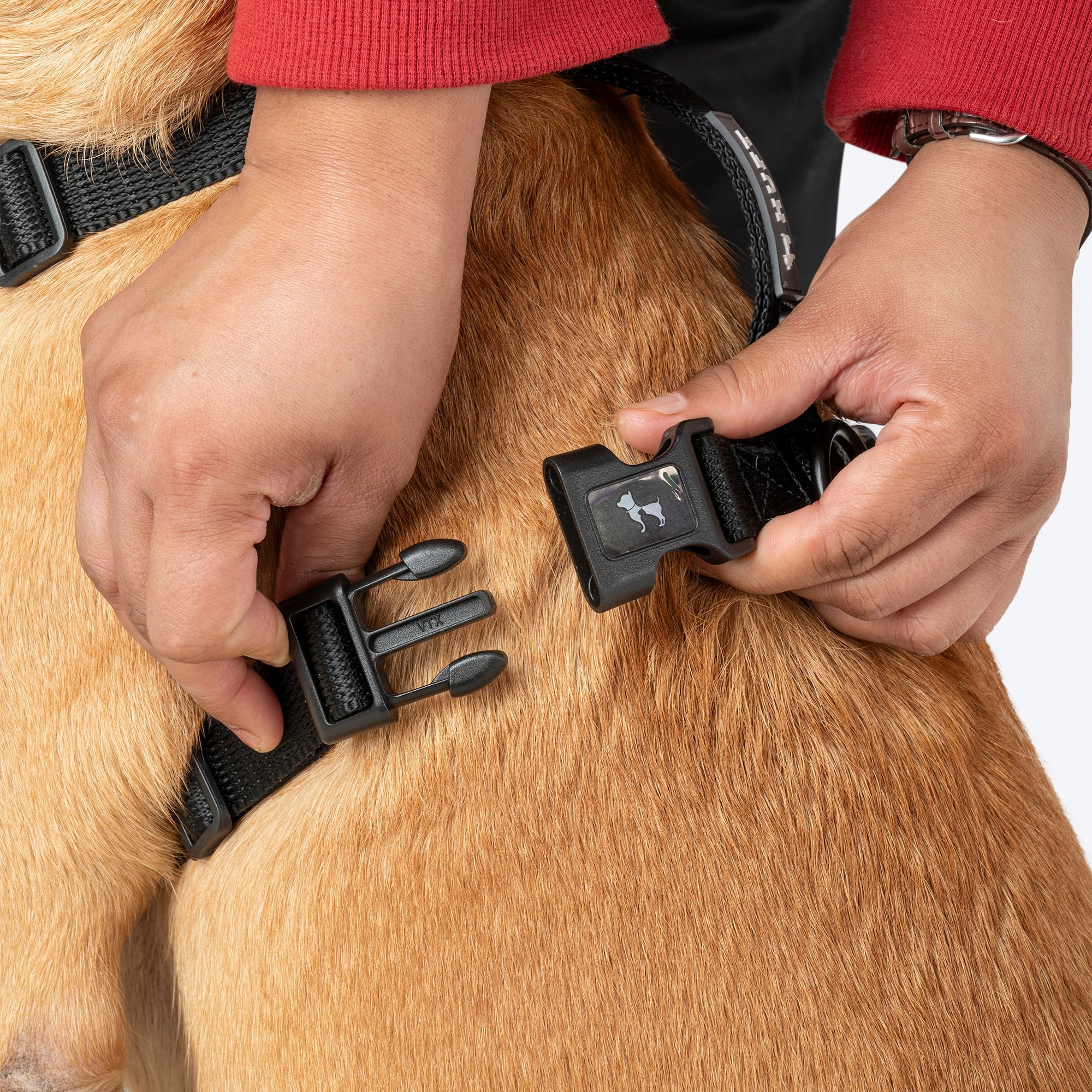 HUFT Classic H Harness for Dogs (Coral Black) - Image 6