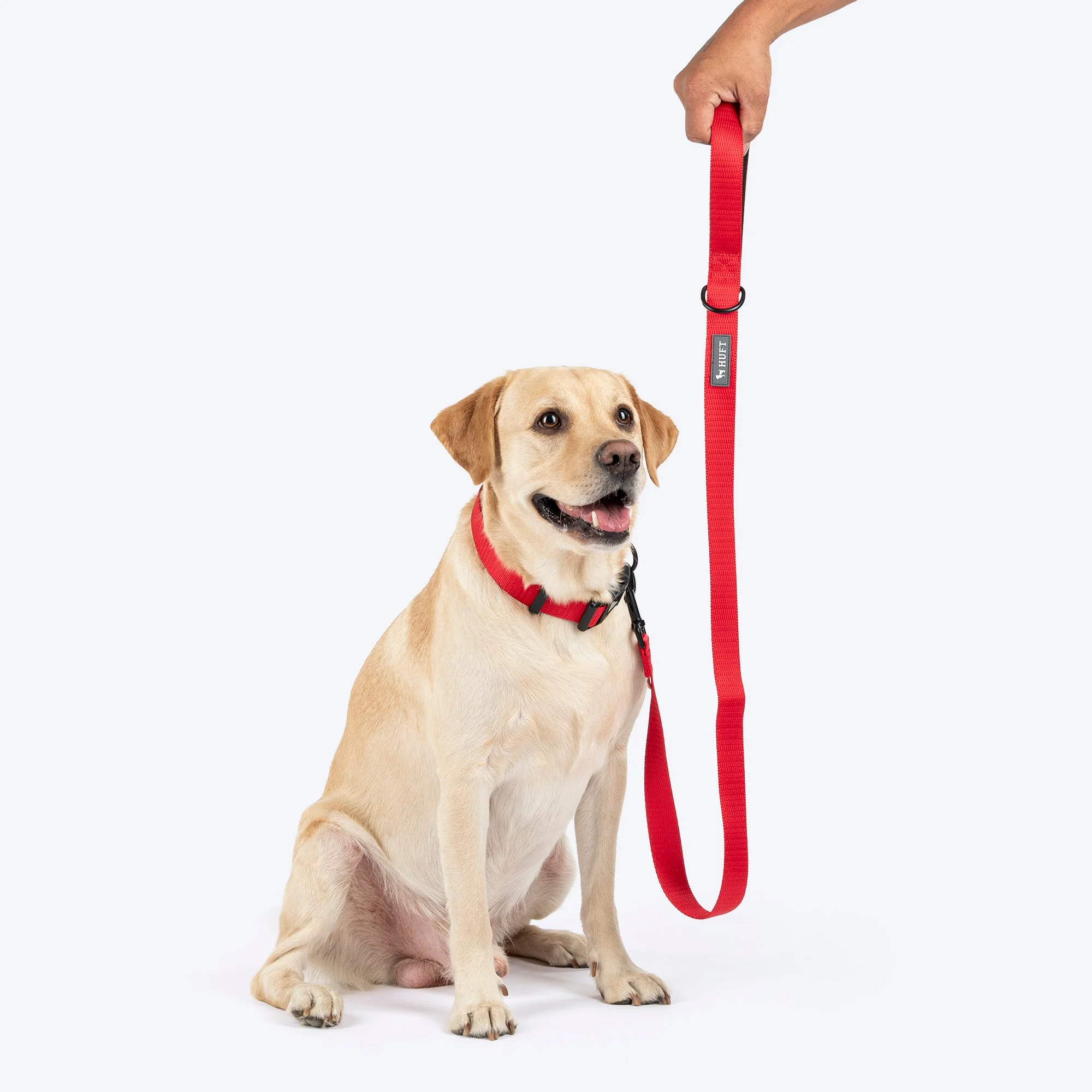 HUFT Classic Leash for Dogs (Cherry Red) - Image 3