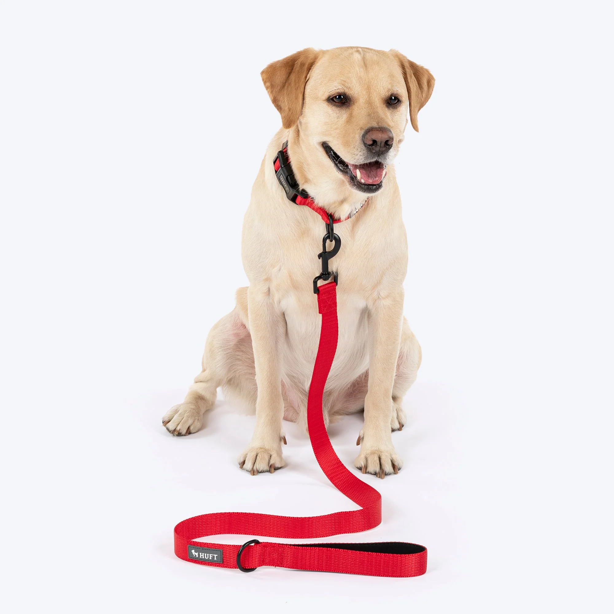 HUFT Classic Leash for Dogs (Cherry Red) - Image 4