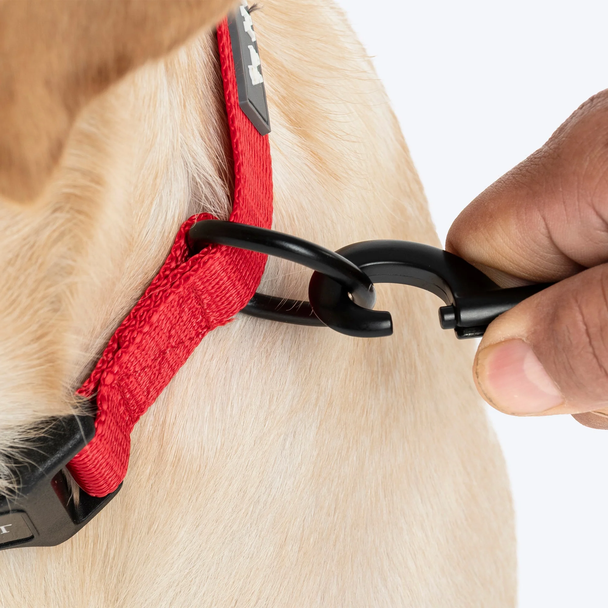 HUFT Classic Leash for Dogs (Cherry Red) - Image 6