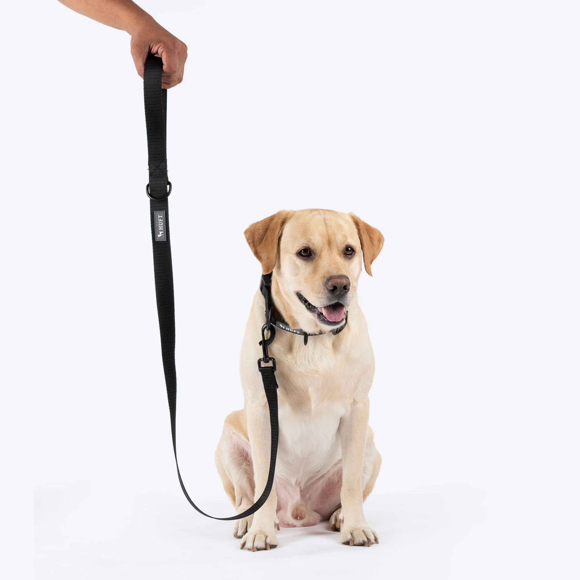 HUFT Classic Leash for Dogs (Coal Black) - Image 3