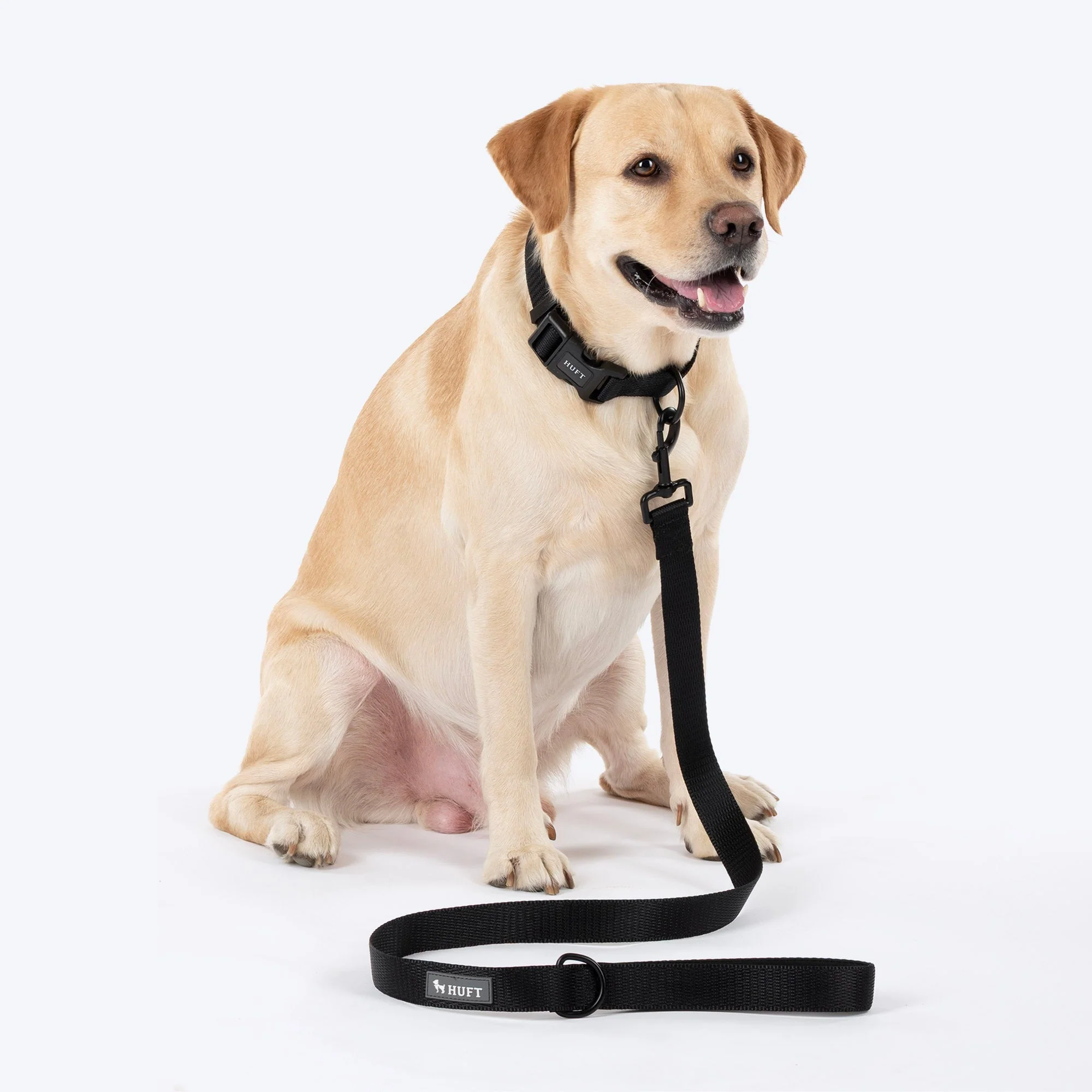 HUFT Classic Leash for Dogs (Coal Black) - Image 4