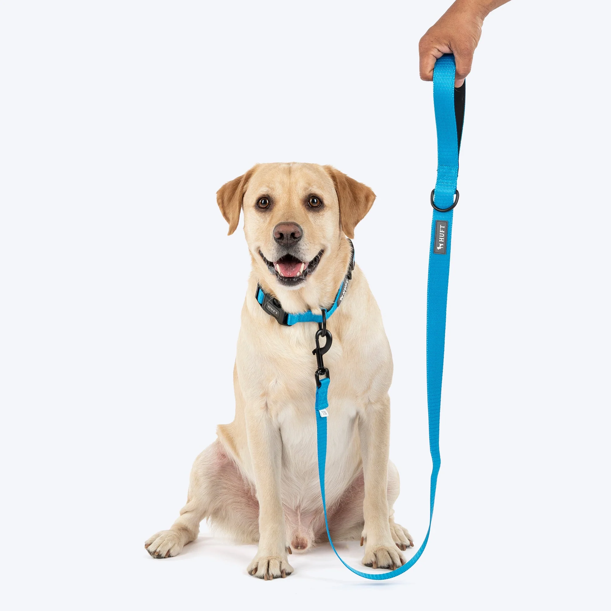 HUFT Classic Leash for Dogs (Ocean Blue) - Image 3