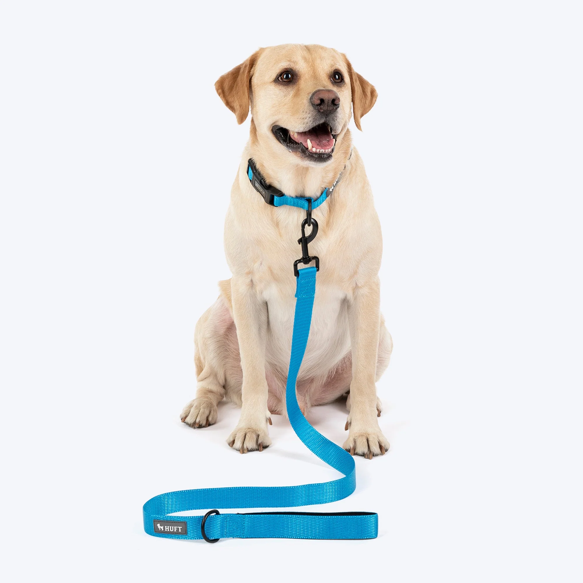 HUFT Classic Leash for Dogs (Ocean Blue) - Image 4