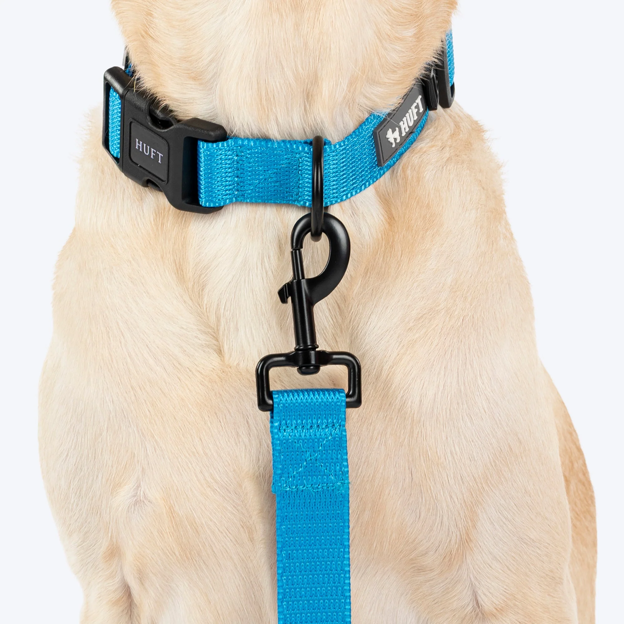HUFT Classic Leash for Dogs (Ocean Blue) - Image 5