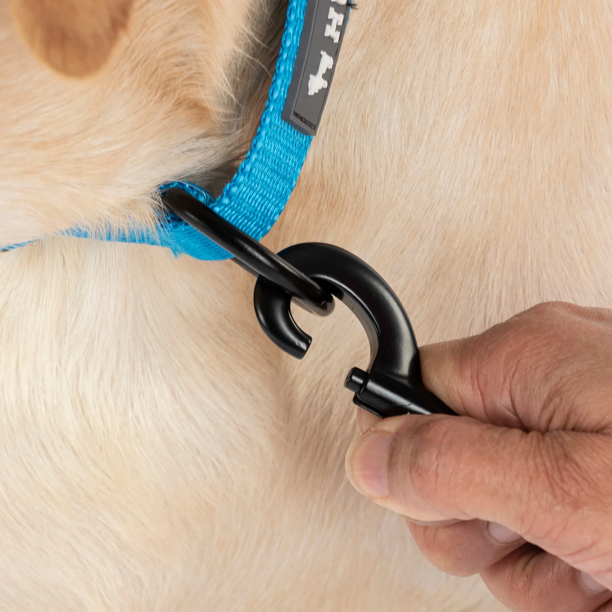 HUFT Classic Leash for Dogs (Ocean Blue) - Image 6