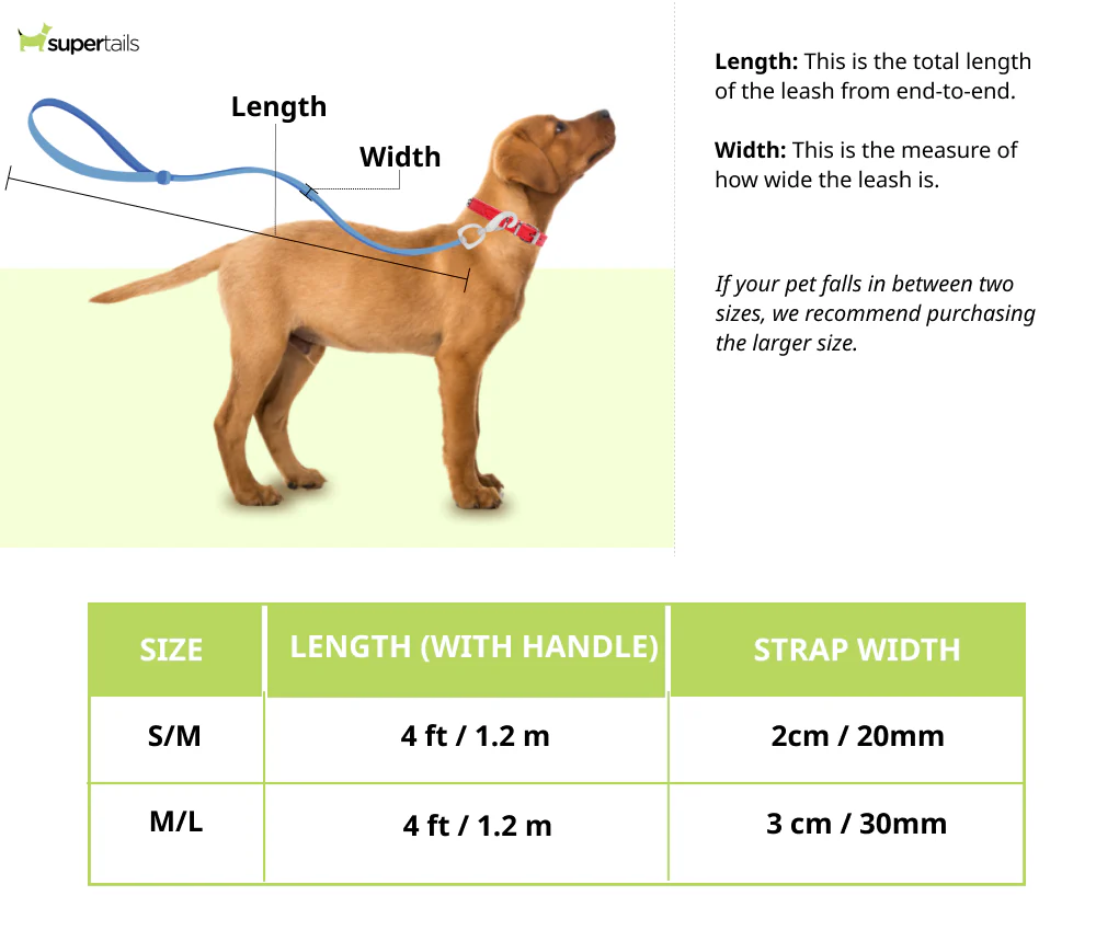 HUFT Classic Leash for Dogs (Cherry Red) - Image 9