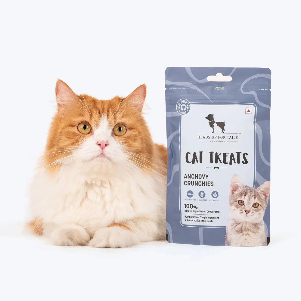 HUFT Dehydrated Anchovies Crunchies Cat Treats - Image 2