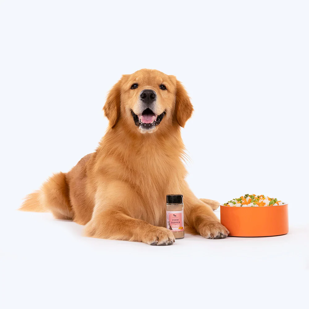 HUFT Chicken Liver with Organic Turmeric Food Topper for Dogs - Image 3