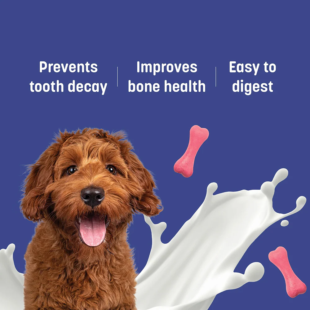 HUFT Gluten Free Bite Sized Calcium Strawberry Bone Chew Dog Treats - Image 2