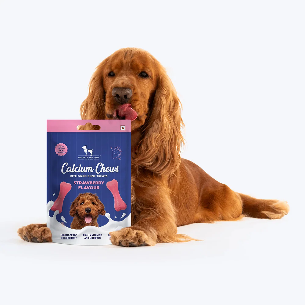 HUFT Gluten Free Bite Sized Calcium Strawberry Bone Chew Dog Treats - Image 6