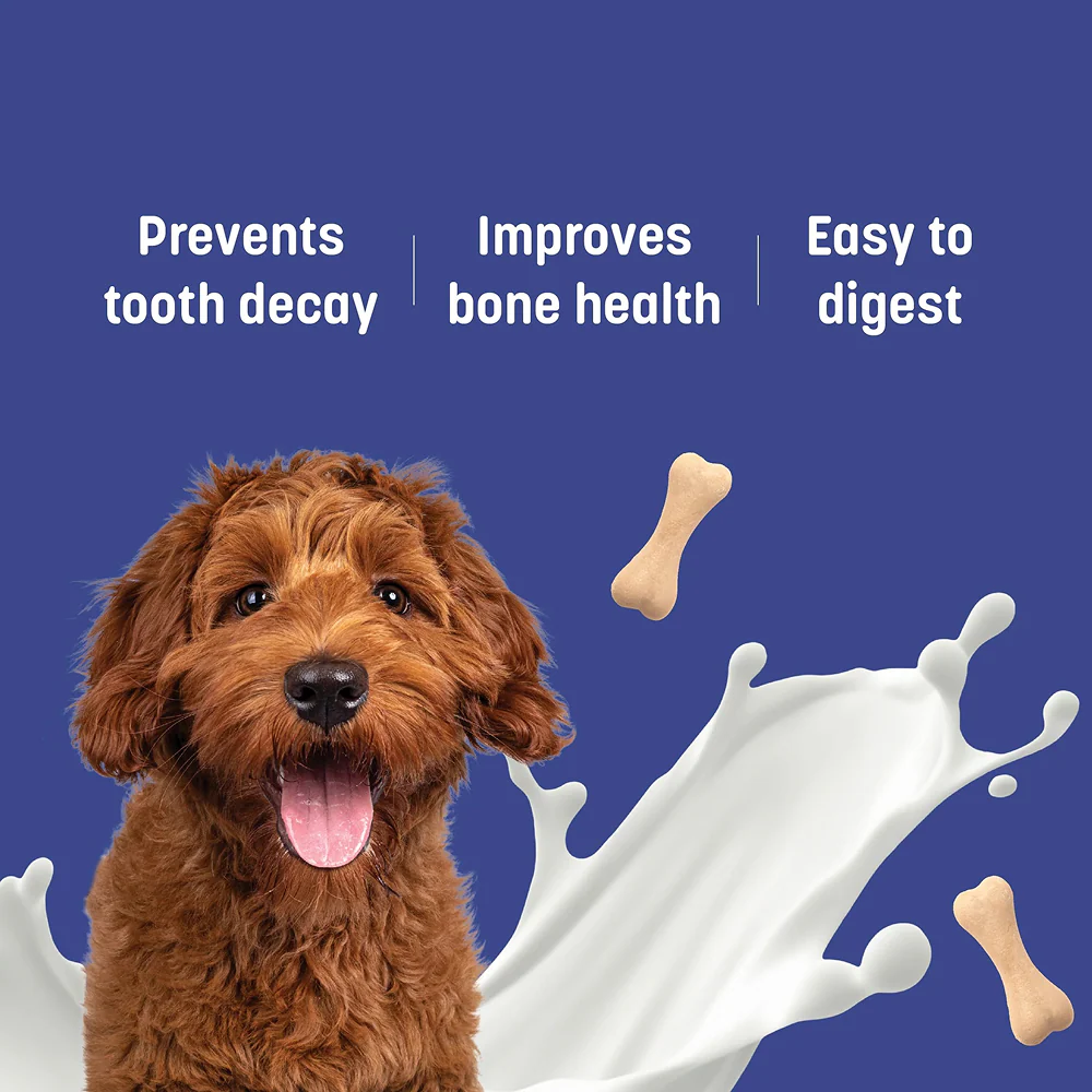 HUFT Gluten Free Bite Sized Calcium Milk Bone Chew Dog Treats - Image 3