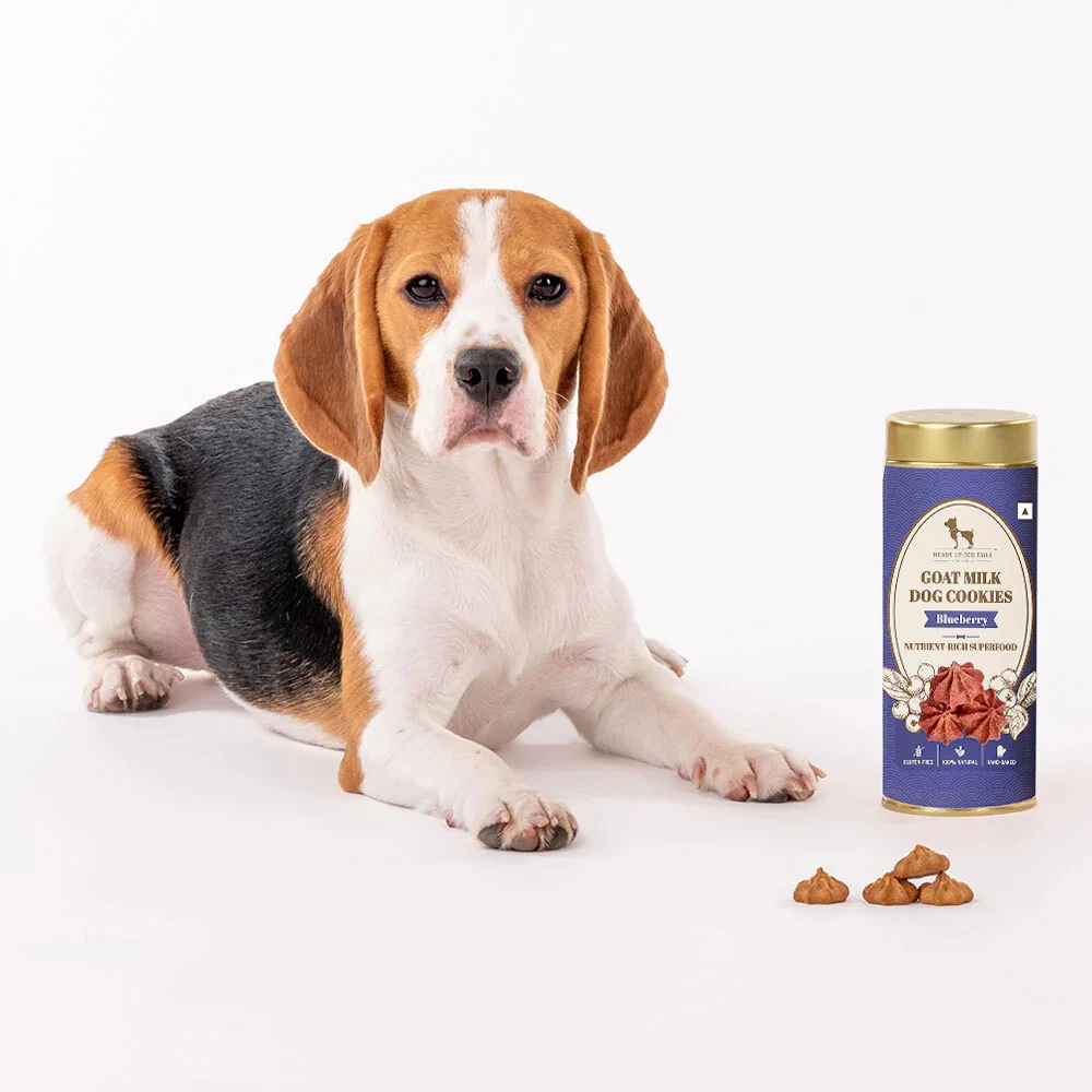 HUFT Gluten Free Goat Milk & Blueberry Cookie Dog Treats - Image 10