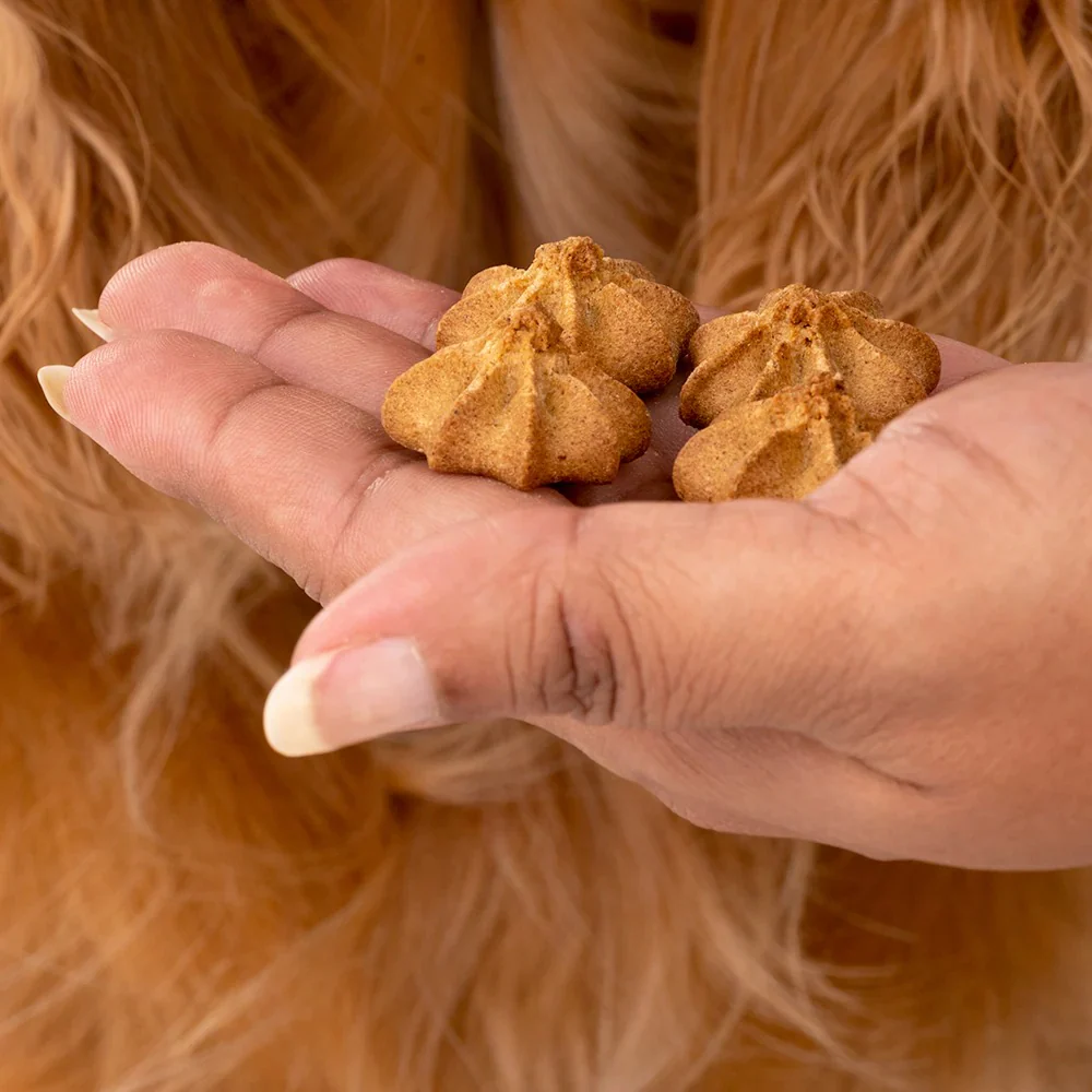 HUFT Gluten Free Goat Milk & Blueberry Cookie Dog Treats - Image 8