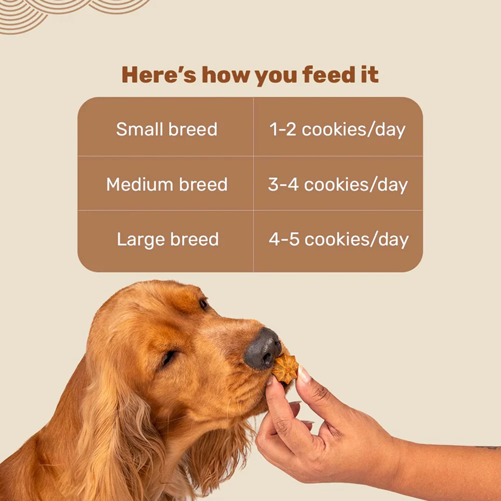 HUFT Gluten Free Goat Milk & Grilled Chicken Cookie Dog Treats - Image 5