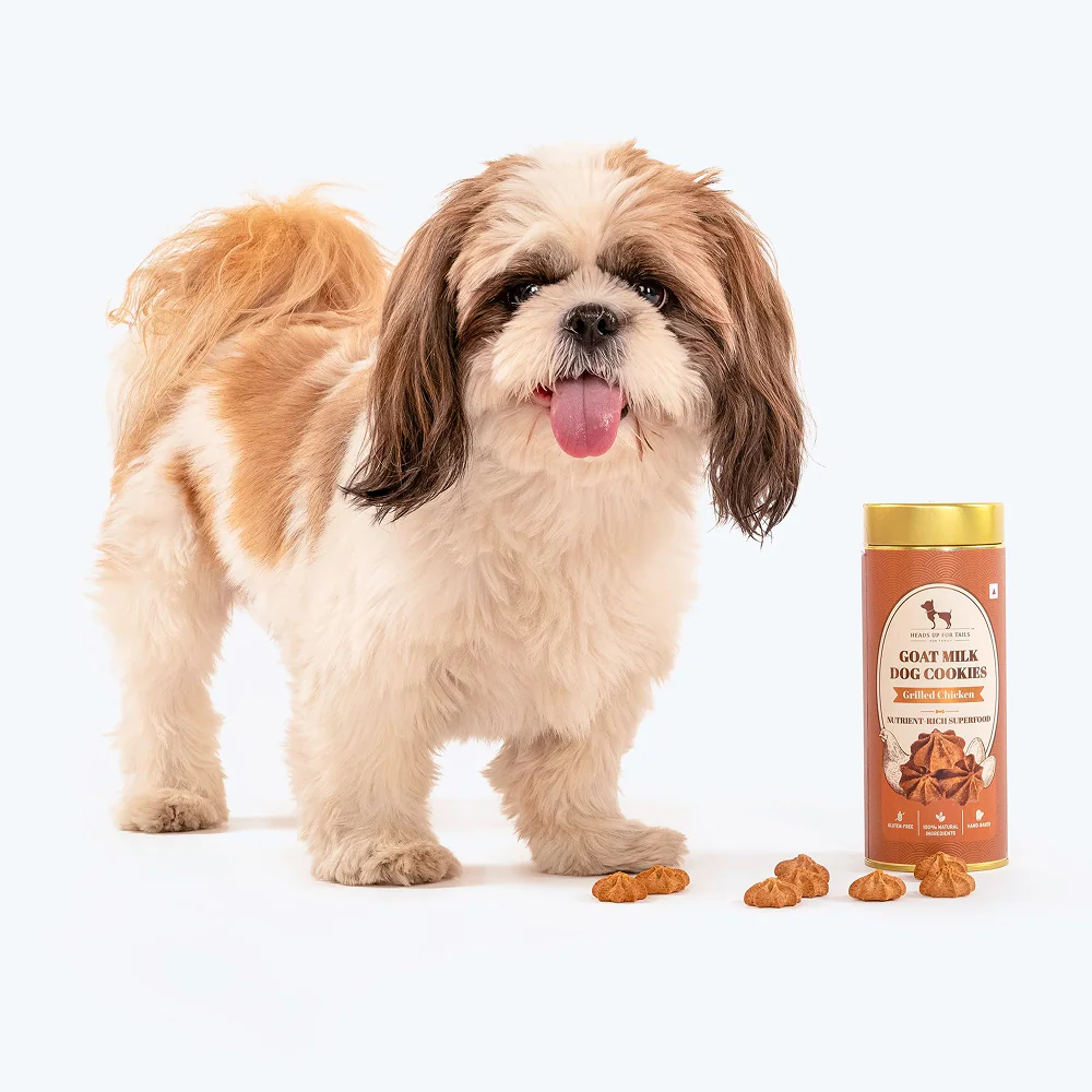 HUFT Gluten Free Goat Milk & Grilled Chicken Cookie Dog Treats - Image 8