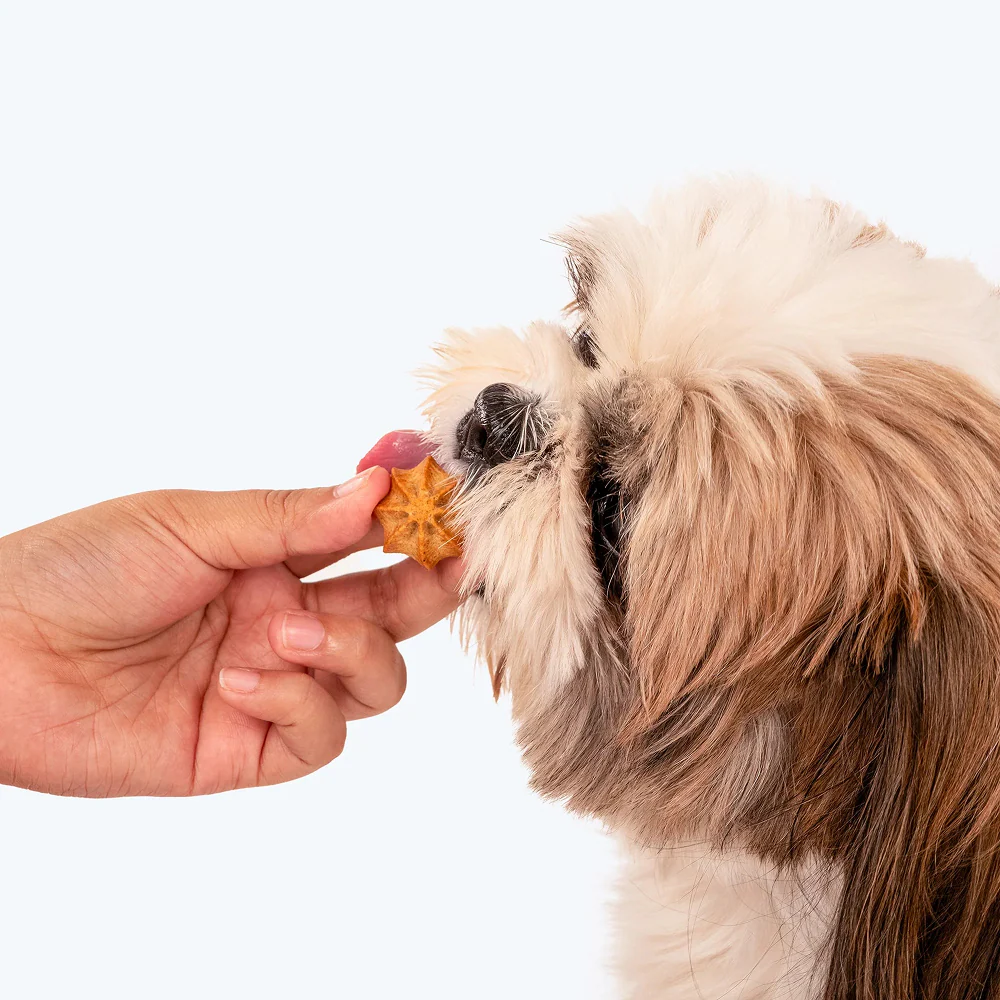 HUFT Gluten Free Goat Milk & Grilled Chicken Cookie Dog Treats - Image 9