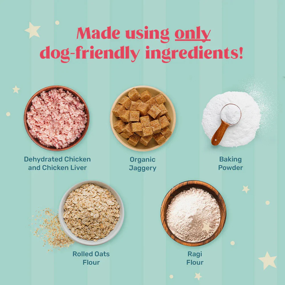 HUFT Gluten Free Instant Chicken Cake Frosting Mix Dog Treats - Image 2