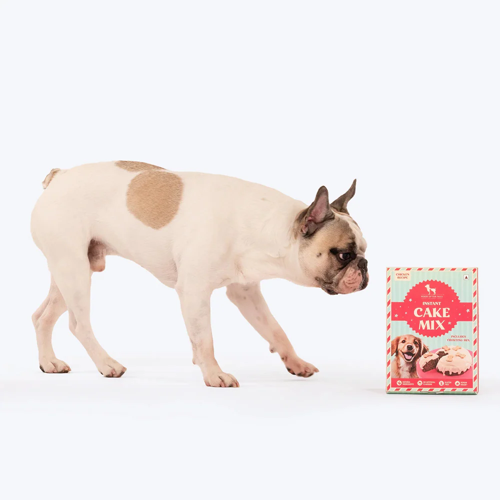 HUFT Gluten Free Instant Chicken Cake Frosting Mix Dog Treats - Image 8