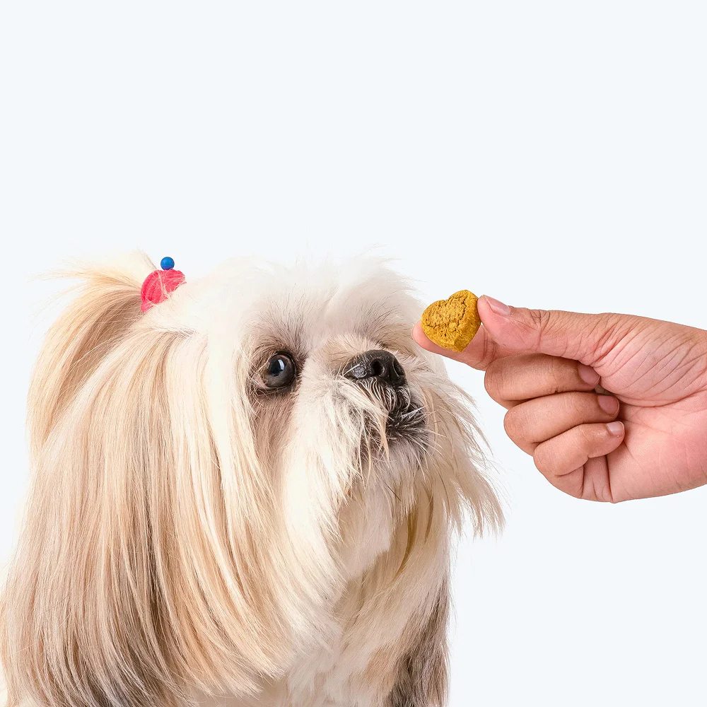 HUFT Gluten Free Nutri Chicken Liver Recipe Hip & Joint Support Dog Treats - Image 6