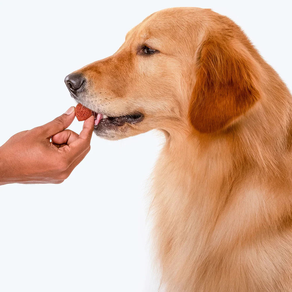 HUFT Gluten Free Nutri Chicken Liver Recipe Immunity Support Dog Treats - Image 6
