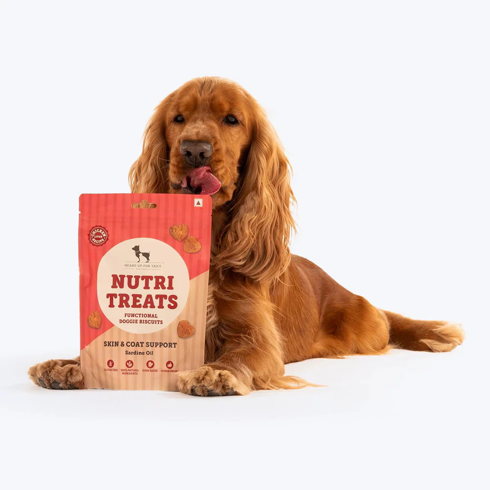 HUFT Gluten Free Nutri Chicken Liver Recipe Skin & Coat Support Dog Treats - Image 7