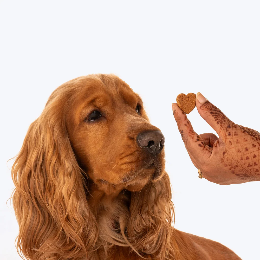 HUFT Gluten Free Nutri Chicken Liver Recipe Skin & Coat Support Dog Treats - Image 8