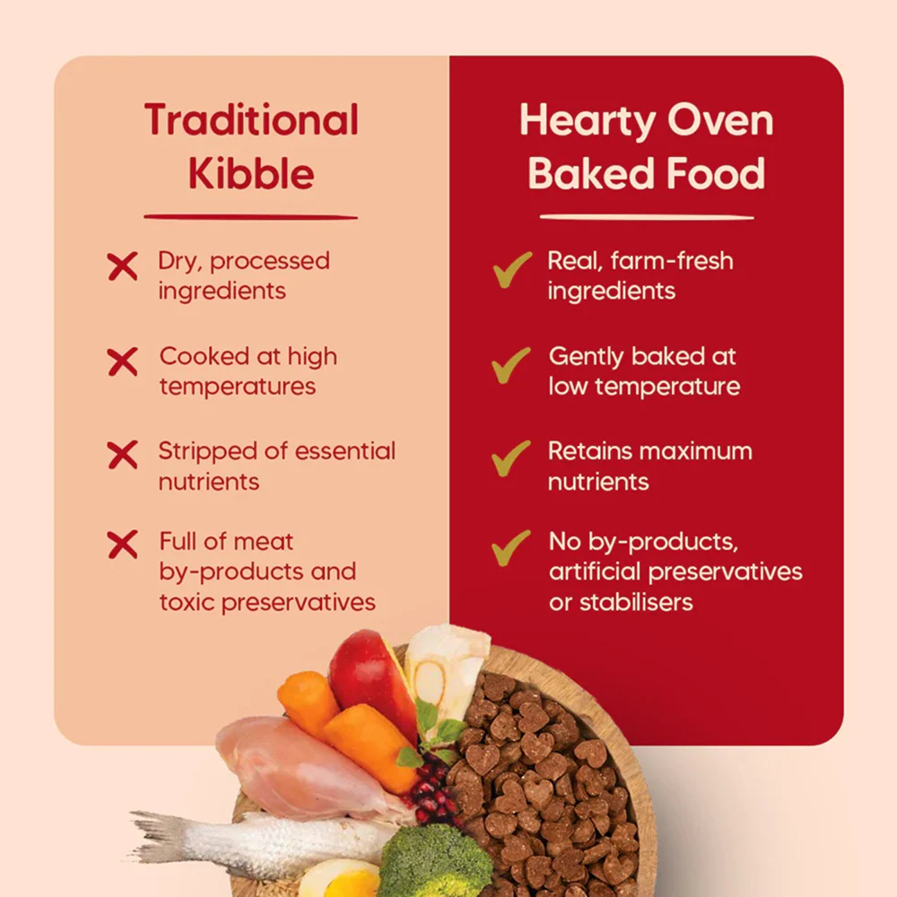 HUFT Hearty Oven Baked Chicken & Duck with Brown Rice Adult Dog Dry Food - Image 3
