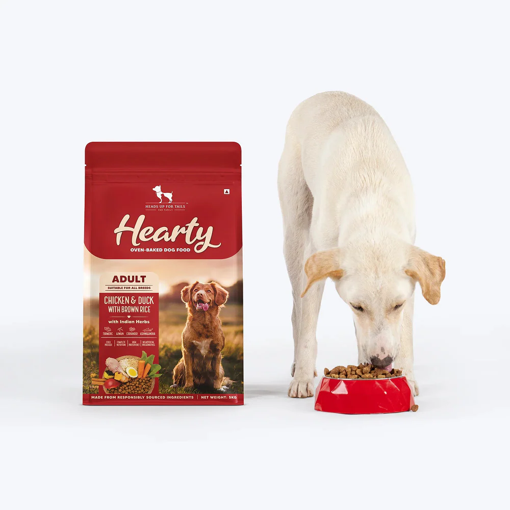HUFT Hearty Oven Baked Chicken & Duck with Brown Rice Adult Dog Dry Food - Image 4