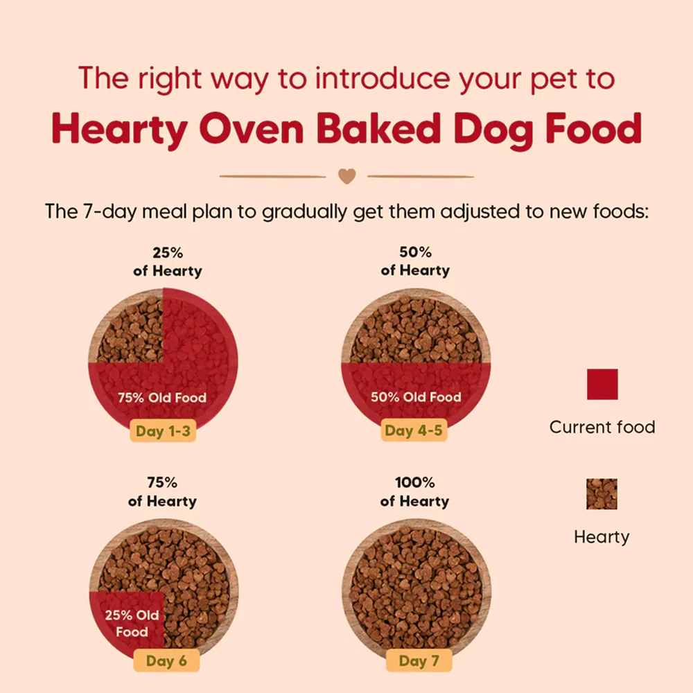 HUFT Hearty Oven Baked Chicken & Fish with Superfoods Puppy Dog Dry Food - Image 3