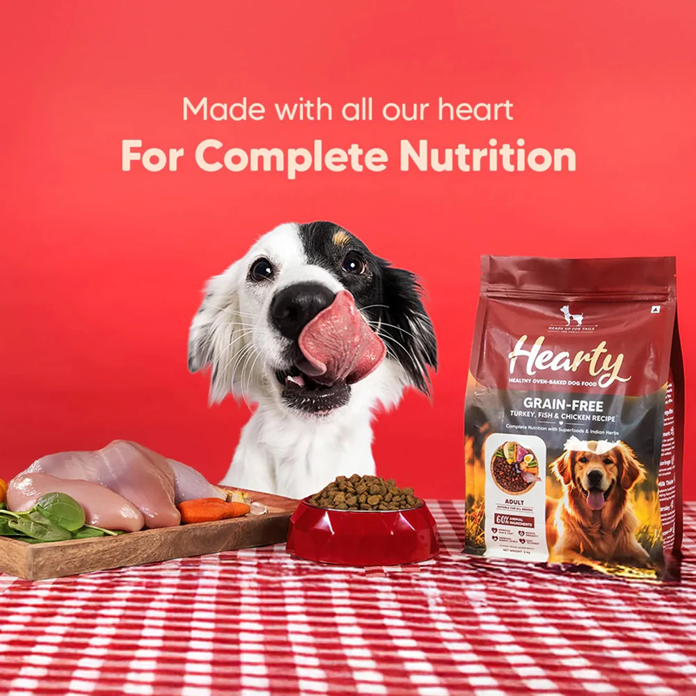 HUFT Hearty Oven Baked Grain Free Turkey, Fish & Chicken with Superfood Adult Dog Dry Food - Image 8