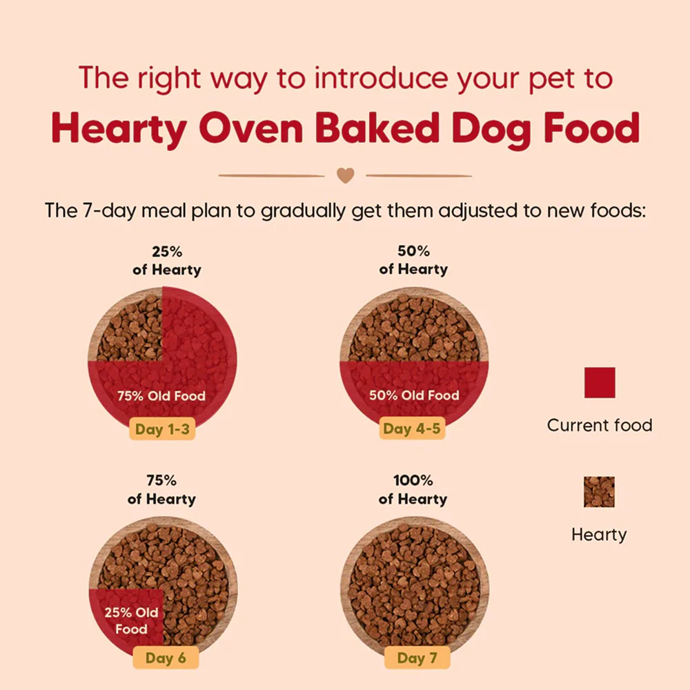 HUFT Hearty Oven Baked Lamb & Blueberry with Superfood Adult Dog Dry Food - Image 6