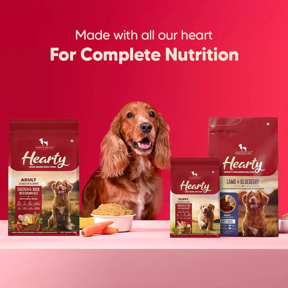 HUFT Hearty Oven Baked Lamb & Blueberry with Superfood Adult Dog Dry Food - Image 7