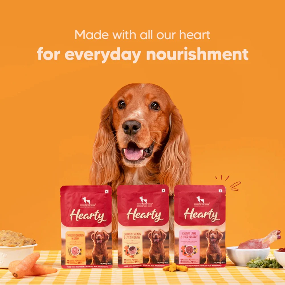 HUFT Hearty Shredded Chicken In Gravy  Dog Wet Food - Image 2