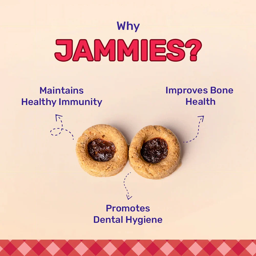 HUFT Jammies With Real Chicken Filled with Mixed Fruit Jam Dog Treats - Image 4
