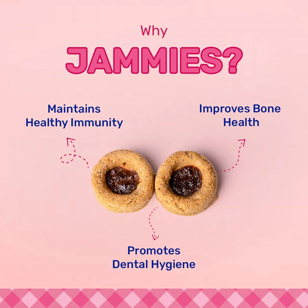 HUFT Jammies with Real Chicken Filled with Strawberry Jam Dog Treats - Image 4