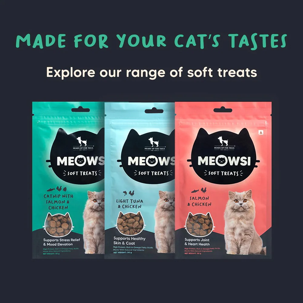 HUFT Meowsi Catnip with Salmon & Chicken Soft Cat Treats - Image 5