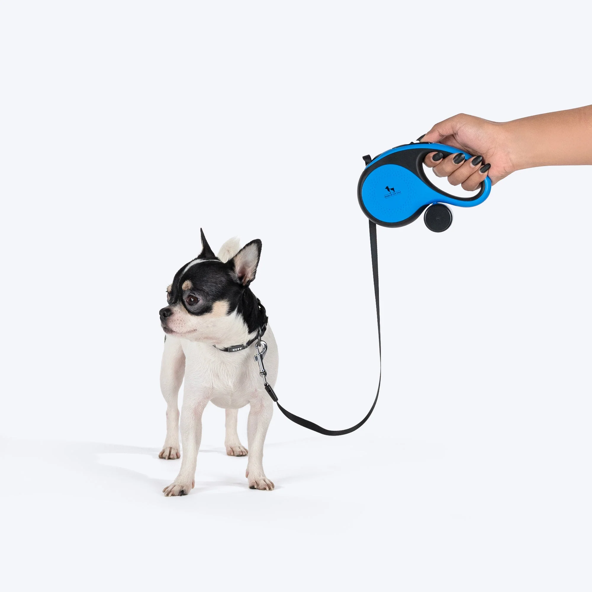 HUFT Retractable Leash With Poop Bag Dispenser for Dogs (Blue) - Image 2